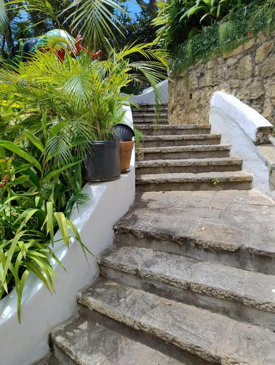 Raro Ipanema Boutique Hotel 里约热内卢 外观 照片